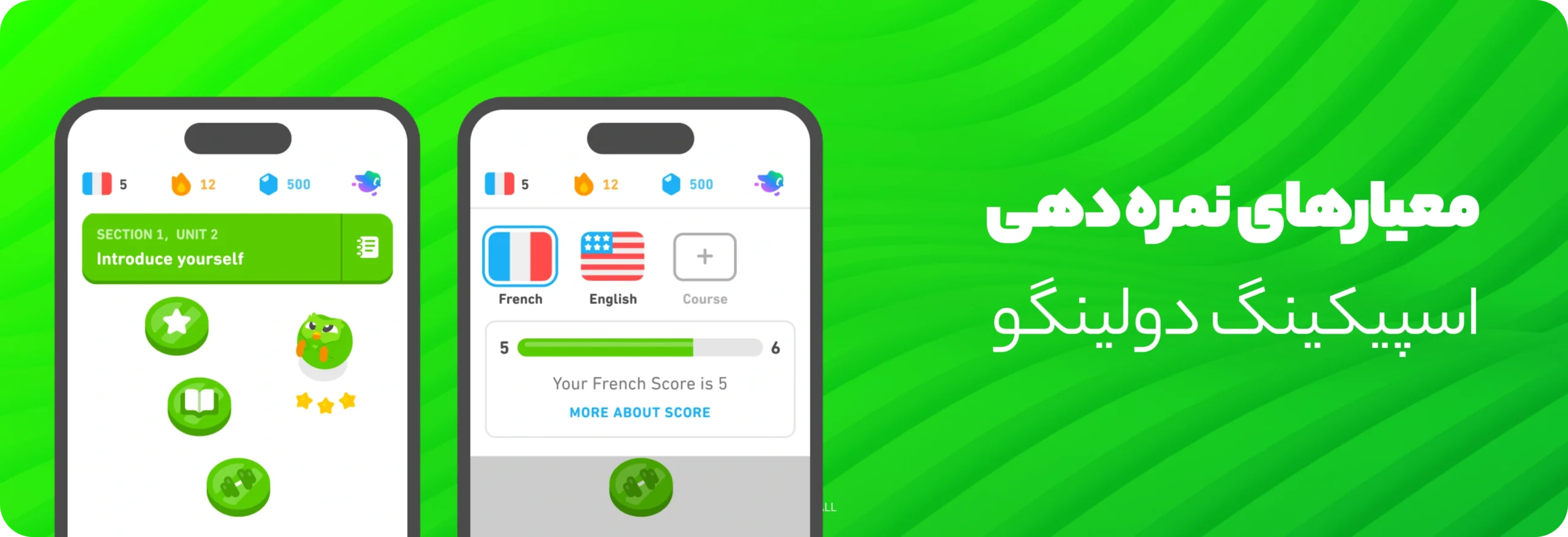 معیارهای نمره‌دهی در اسپیکینگ دولینگو