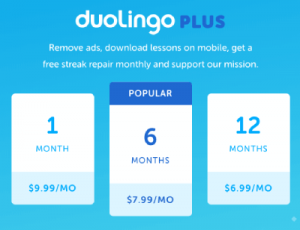 duolingo family plan price