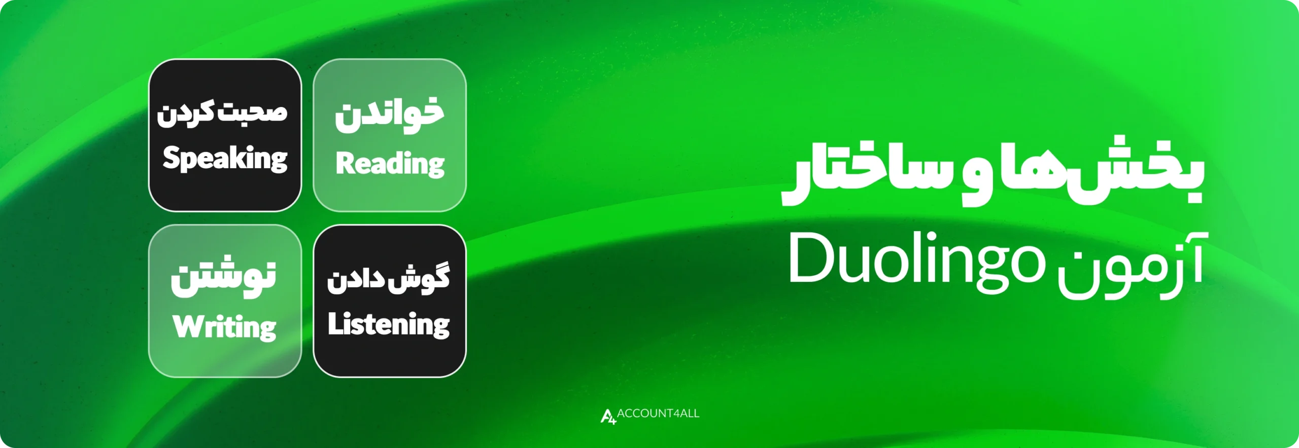 بخش ها و ساختار آزمون دولینگو